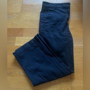 Ann Taylor - Navy Straight Leg Pants